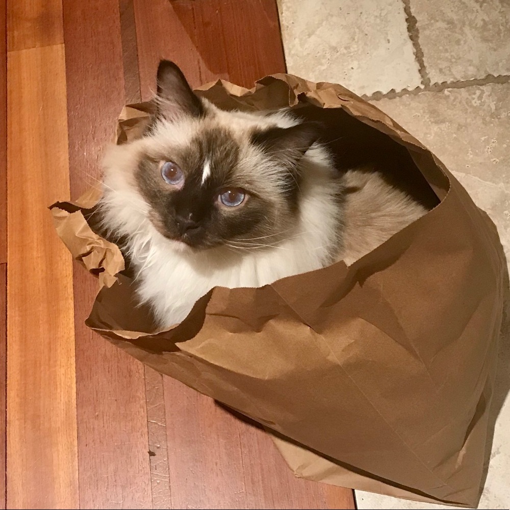 Meet your Posher, Gina